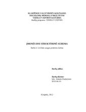 Įmonės DSS struktūrinė schema