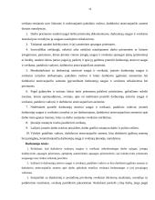 Įmonės DSS struktūrinė schema 11 puslapis