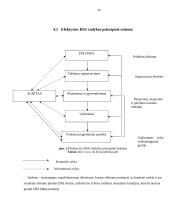 Įmonės DSS struktūrinė schema 14 puslapis