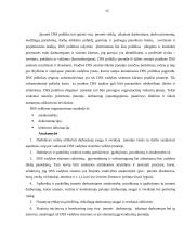 Įmonės DSS struktūrinė schema 15 puslapis