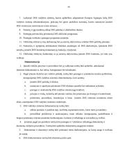 Įmonės DSS struktūrinė schema 16 puslapis