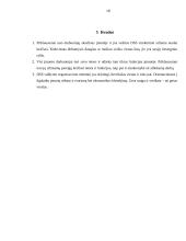 Įmonės DSS struktūrinė schema 18 puslapis