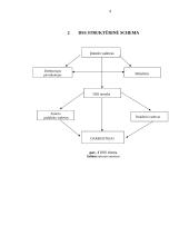 Įmonės DSS struktūrinė schema 4 puslapis