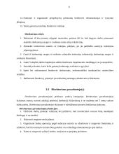 Įmonės DSS struktūrinė schema 6 puslapis