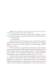 Darbo užmokesčio apskaita - kursinis darbas 20 puslapis