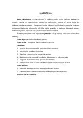 Darbo užmokesčio apskaita - kursinis darbas 3 puslapis