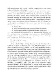 Darbo užmokesčio apskaita - kursinis darbas 9 puslapis