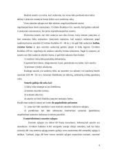 Esminės sutarčių sąlygos civilinėse sutartyse 4 puslapis