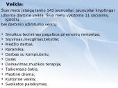 Kauno neįgaliojo jaunimo užimtumo centras 12 puslapis