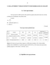 UAB „Autorida“ veiklos analizė 18 puslapis