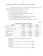 UAB „Autorida“ veiklos analizė 20 puslapis