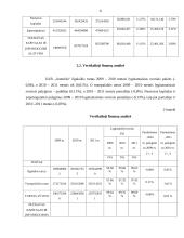 UAB „Autorida“ veiklos analizė 6 puslapis