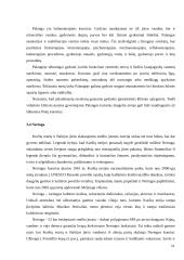 Lietuvos kurortai ir jų sveikatingumo paslaugų analizė 12 puslapis