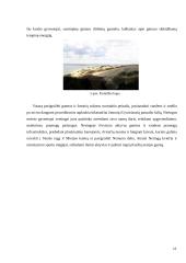 Lietuvos kurortai ir jų sveikatingumo paslaugų analizė 13 puslapis