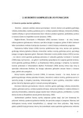 Lietuvos kurortai ir jų sveikatingumo paslaugų analizė 4 puslapis