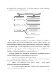 Lietuvos kurortai ir jų sveikatingumo paslaugų analizė 6 puslapis