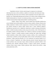 Valstybės tarnautojų motyvavimo tobulinimas Plungės rajono savivaldybėje 11 puslapis