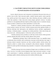 Valstybės tarnautojų motyvavimo tobulinimas Plungės rajono savivaldybėje 12 puslapis