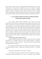 Valstybės tarnautojų motyvavimo tobulinimas Plungės rajono savivaldybėje 14 puslapis