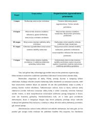Valstybės tarnautojų motyvavimo tobulinimas Plungės rajono savivaldybėje 16 puslapis