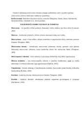 Valstybės tarnautojų motyvavimo tobulinimas Plungės rajono savivaldybėje 4 puslapis