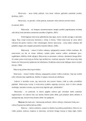 Valstybės tarnautojų motyvavimo tobulinimas Plungės rajono savivaldybėje 6 puslapis