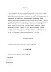 Referatas Švyturio alus