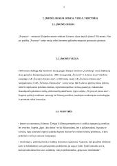 Referatas Švyturio alus 2 puslapis