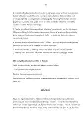 Referatas Švyturio alus 12 puslapis
