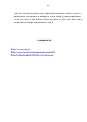 Referatas Švyturio alus 13 puslapis