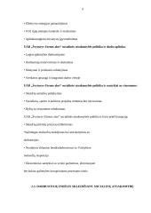 Referatas Švyturio alus 6 puslapis