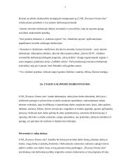 Referatas Švyturio alus 7 puslapis