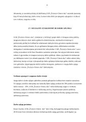 Referatas Švyturio alus 8 puslapis