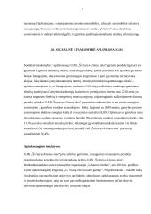 Referatas Švyturio alus 9 puslapis