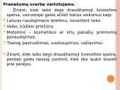 Naujas produktas. Šviesoforo laikmatis 4 puslapis