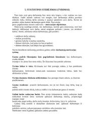 Statistinių duomenų rinkimas, sisteminimas ir analizė 13 puslapis