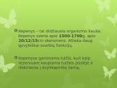 Virškinimas skaidrės 12 puslapis