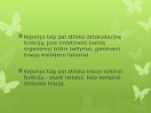 Virškinimas skaidrės 13 puslapis