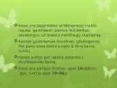 Virškinimas skaidrės 17 puslapis