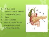 Virškinimas skaidrės 18 puslapis