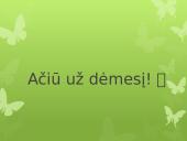 Virškinimas skaidrės 19 puslapis