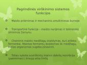 Virškinimas skaidrės 3 puslapis