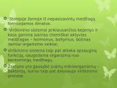 Virškinimas skaidrės 4 puslapis