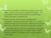 Virškinimas skaidrės 5 puslapis