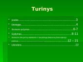 Skoliozė (S) formos 2 puslapis