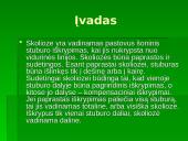 Skoliozė (S) formos 3 puslapis