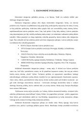 Ekonominės integracijos pakopos 11 puslapis