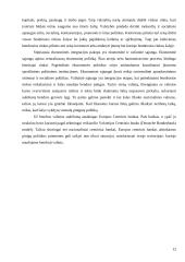 Ekonominės integracijos pakopos 12 puslapis