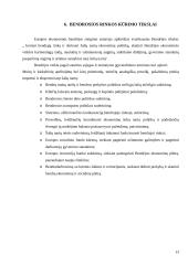 Ekonominės integracijos pakopos 13 puslapis