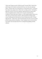 Dempingas 13 puslapis